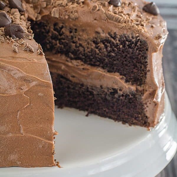 Gluten Free Double Chocolate Cake & Chocolate Frosting • Dishing Delish