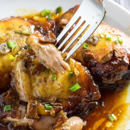 https://www.dishingdelish.com/wp-content/uploads/2018/08/Slow-cooker-honey-garlic-chicken-thighs-4-500x500.jpg