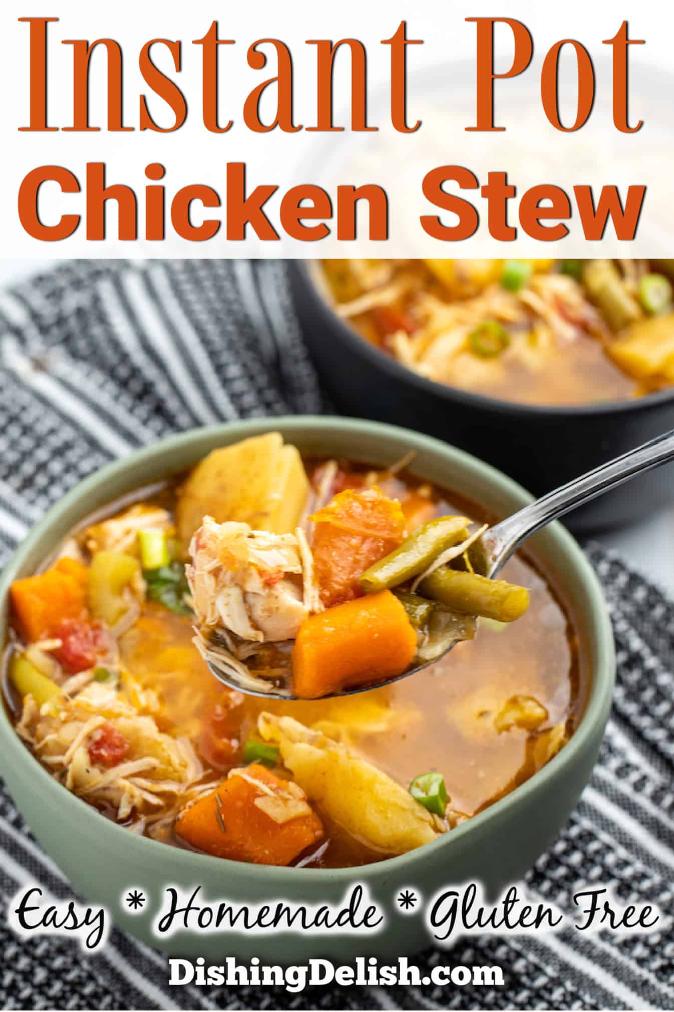 Instant Pot Chicken Stew • Dishing Delish
