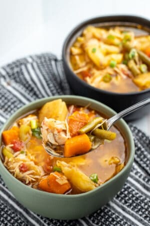 Instant Pot Chicken Stew • Dishing Delish