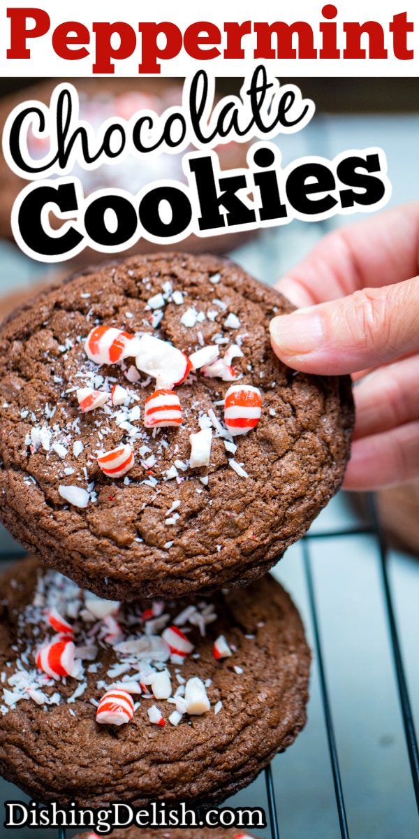 Easy Peppermint Chocolate Cookies • Dishing Delish