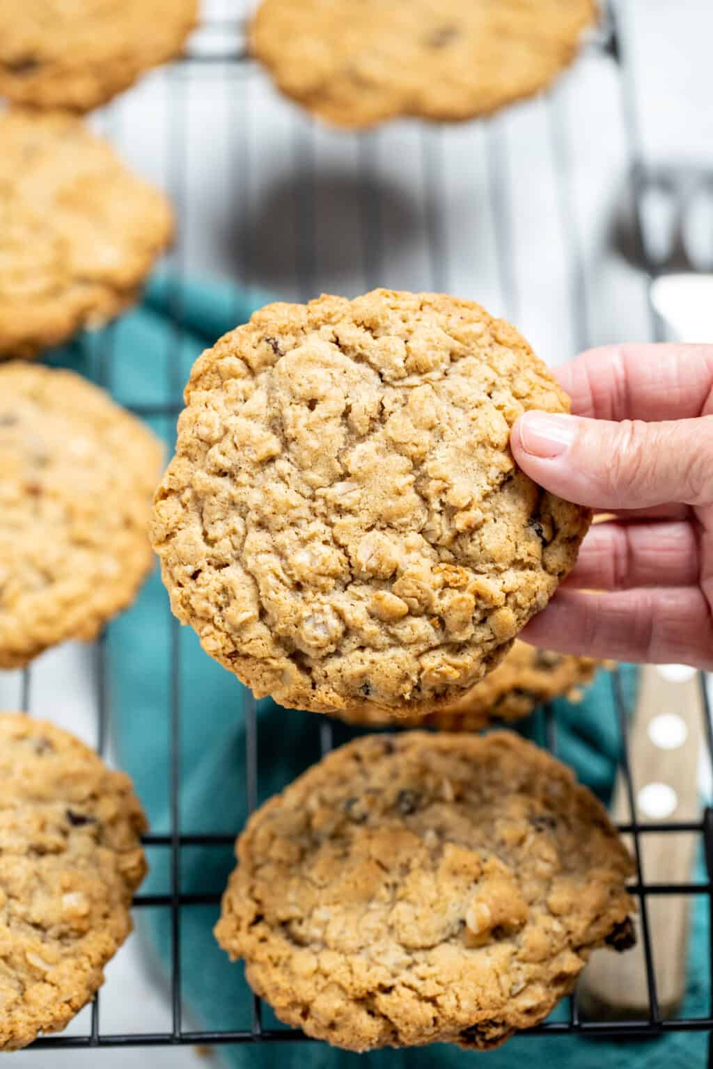 gluten-free-oatmeal-cookies-dishing-delish