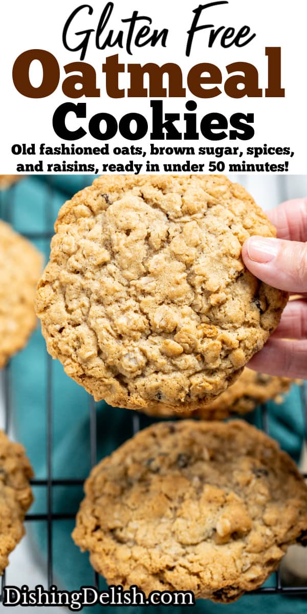 Gluten Free Oatmeal Cookies • Dishing Delish