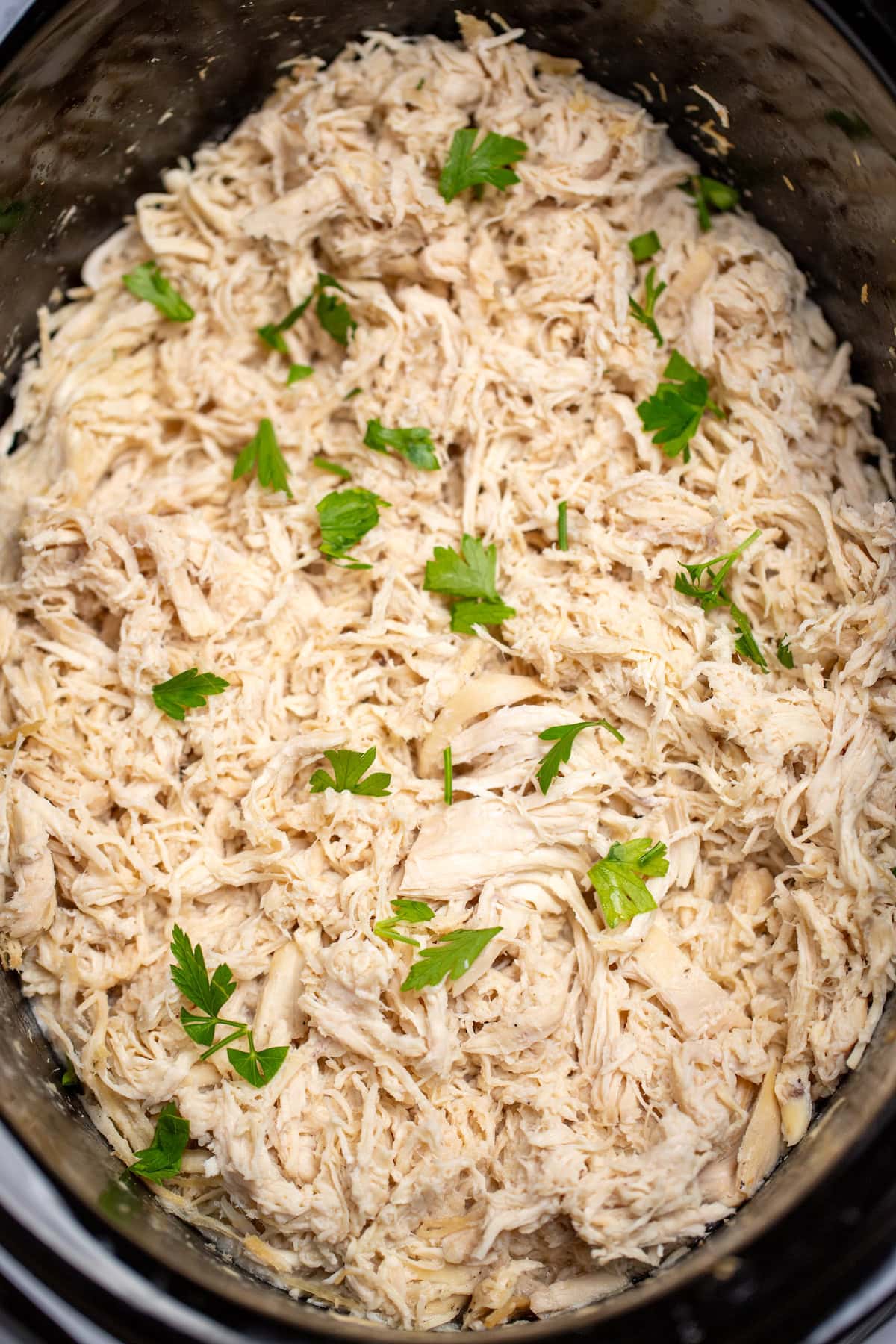 A slow cooker full of shredded chicken topped with pieces of fresh parsley.