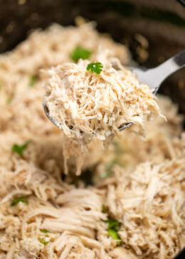 A slow cooker full of shredded chicken topped with pieces of fresh parsley, with a spoon lifting some up.