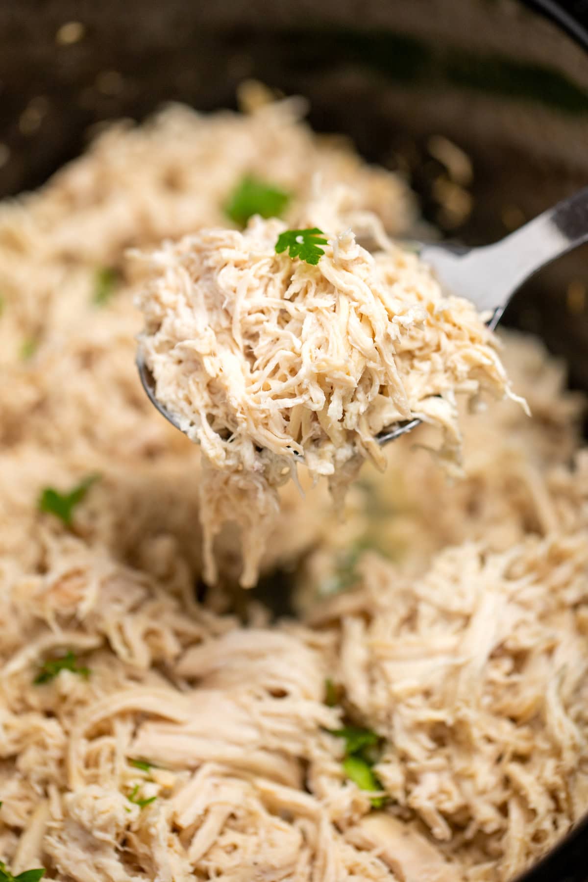 A slow cooker full of shredded chicken topped with pieces of fresh parsley, with a spoon lifting some up.