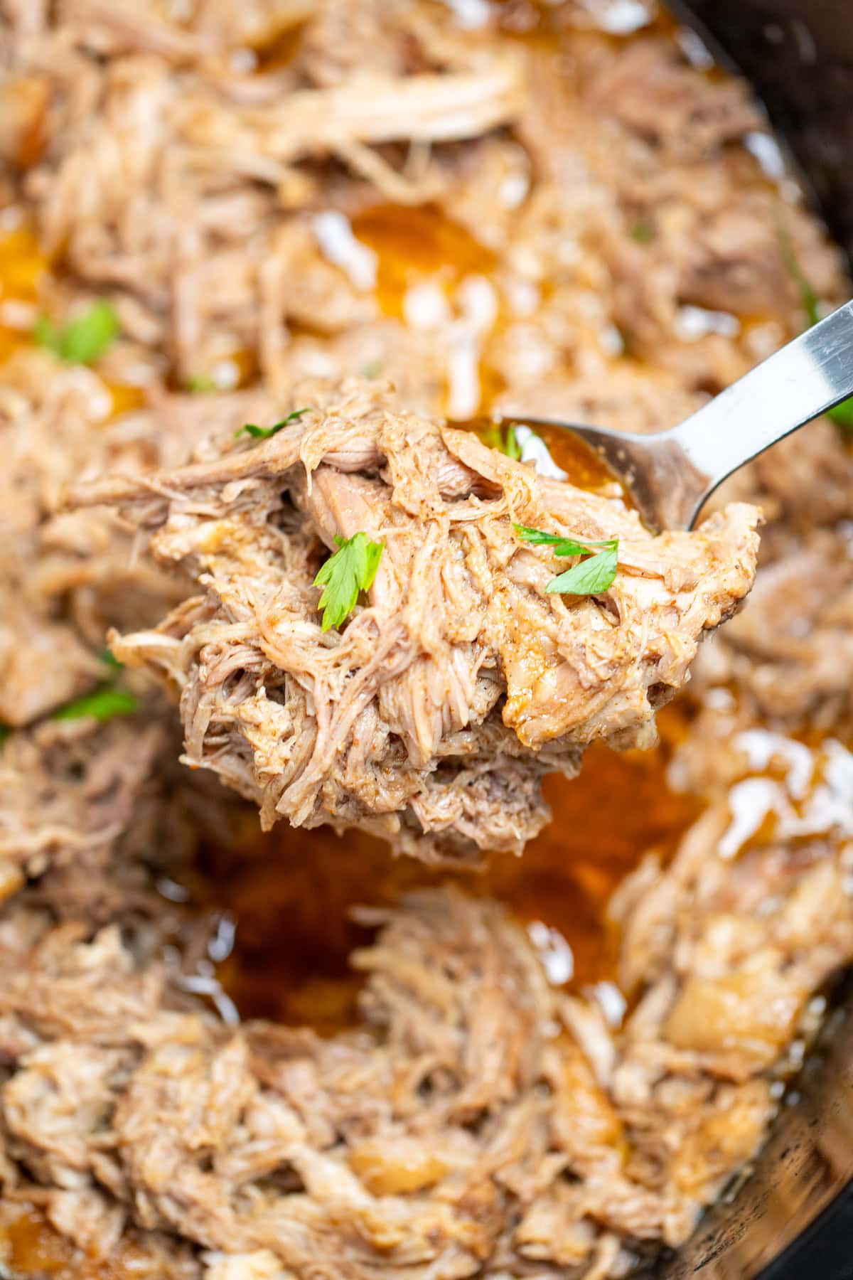 A slow cooker full of shredded pork shoulder in broth and drippings, with a spoon lifting some up.