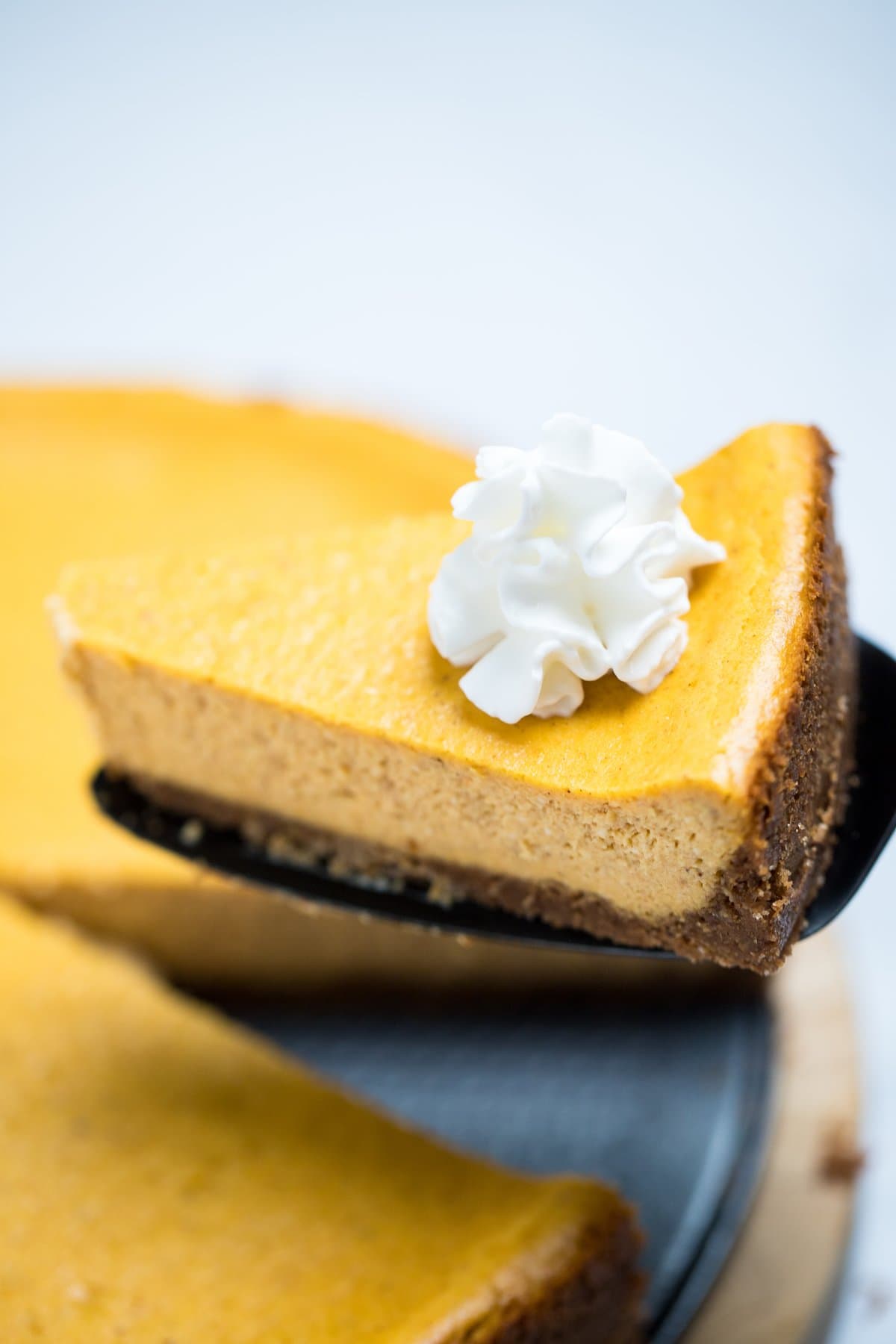 A piece of pumpkin cheesecake topped with whipped cream, being lifted up over the whole cheesecake.