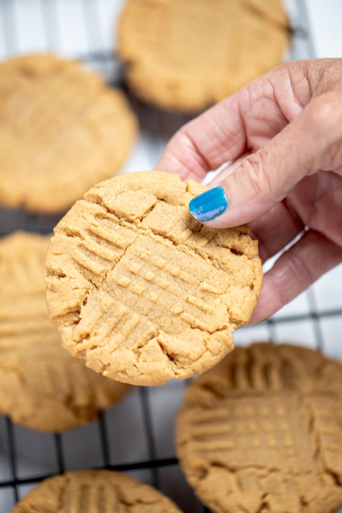 A hand holding a gluten free peanut butter cookie over a cookie rack of cooling cookies.